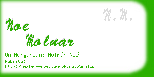 noe molnar business card